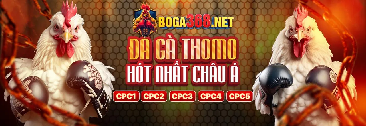 Sân đấu đá gà trực tuyến kịch tính tại i9bet141 tải game